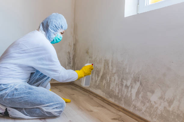 Hvac And Air Duct Mold Remediation inspection of HVAC system in Bozman