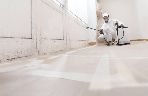 Black mold remediation team in Bozman
